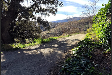 Cortijo i Torvizcon, Granada, Torvizcon - € 52.000 | Ref: TVC562 - foto 25